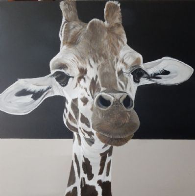 giraffe